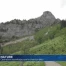Opération sauvetage pour le chardon bleu