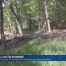 Danger d’incendie de forêt dans le canton de Vaud