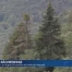 Danger d'incendie de forêt: appel à la prudence