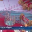 La Bénichon de Bulle met les artisans à l'honneur