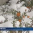 Les premiers flocons de neige à Sainte-Croix