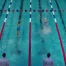 20 champions olympiques répondent présent pour la Swim Cup