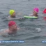 Plus de 200 nageurs ont bravé le froid