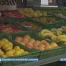 Le marché de Lausanne investit St-François
