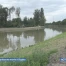 1'066 poissons morts à Sugiez