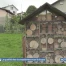 La qualité des écosystèmes sous la