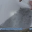Plusieurs espèces de poissons menacées