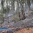 Feu de forêt en avril