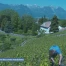 Caves ouvertes victimes de leur succès 
