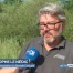 Le marais, un enjeu pour la biodiversité