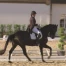 Concours de dressage d'Avenches