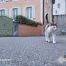 Coronamour: Les rues sont vides