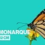 Le Papiliorama de Chiètres