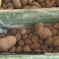 Carton pour la vente directe