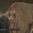 Halloween à la potence?
