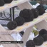La reine truffe