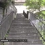 Des escaliers tout neufs