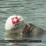 24 heures pour traverser le lac Léman à la nage