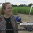 Bottens : Découverte d'un labyrinthe perdu dans les champs