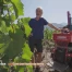 Cave Les Vignes de Vevey