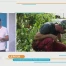 LE PITCH: La vente directe avec Robin des Fermes