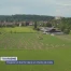 Naviguer dans le maïs