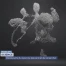 Le neurone qui permet de remarcher découvert à l'EPFL