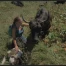 Les Yaks des petits lacs