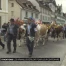 Les armaillis défilent pour leur centenaire