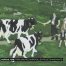 Un prix pour les agriculteurs inventifs