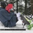 Les courses de ski du Jaun changent de tête