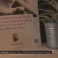 Bracelets électroniques pour conjoints violents