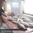 Des poissons du lac riches en vitamine D