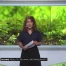 Dioxine : Résultats rassurants