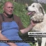 Une brigade d'intervention rapide canine