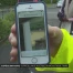 Surveillance accrue du moustique tigre