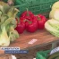 La vente directe en ville