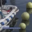 Les bateaux ressortent au printemps