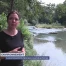 Les précautions face aux cyanobactéries