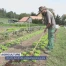 Des prix plus justes dans l'agriculture