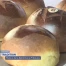 Retour de la Bénichon à Fribourg