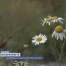 Améliorer la nature de notre canton