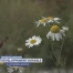 Fribourg sur la bonne voie de la durabilité