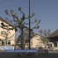 Les communes vaudoises manquent d'élus