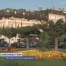 Morges veut se végétaliser