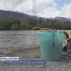 Les PFAS dans le collimateur