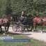 Comment tenir les rênes du Haras national ?