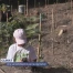 Climat : une sensibilisation par la plantation
