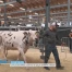 Les plus belles vaches du pays défilent à Bulle