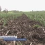BIlan positif après deux ans pour le Plan Phyto fribourgeois